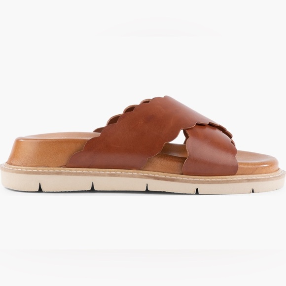 SEYCHELLES WOODSTOCK PLATFORM BROWN  LEATHER SLIDE ON SANDAL NEW IN BOX